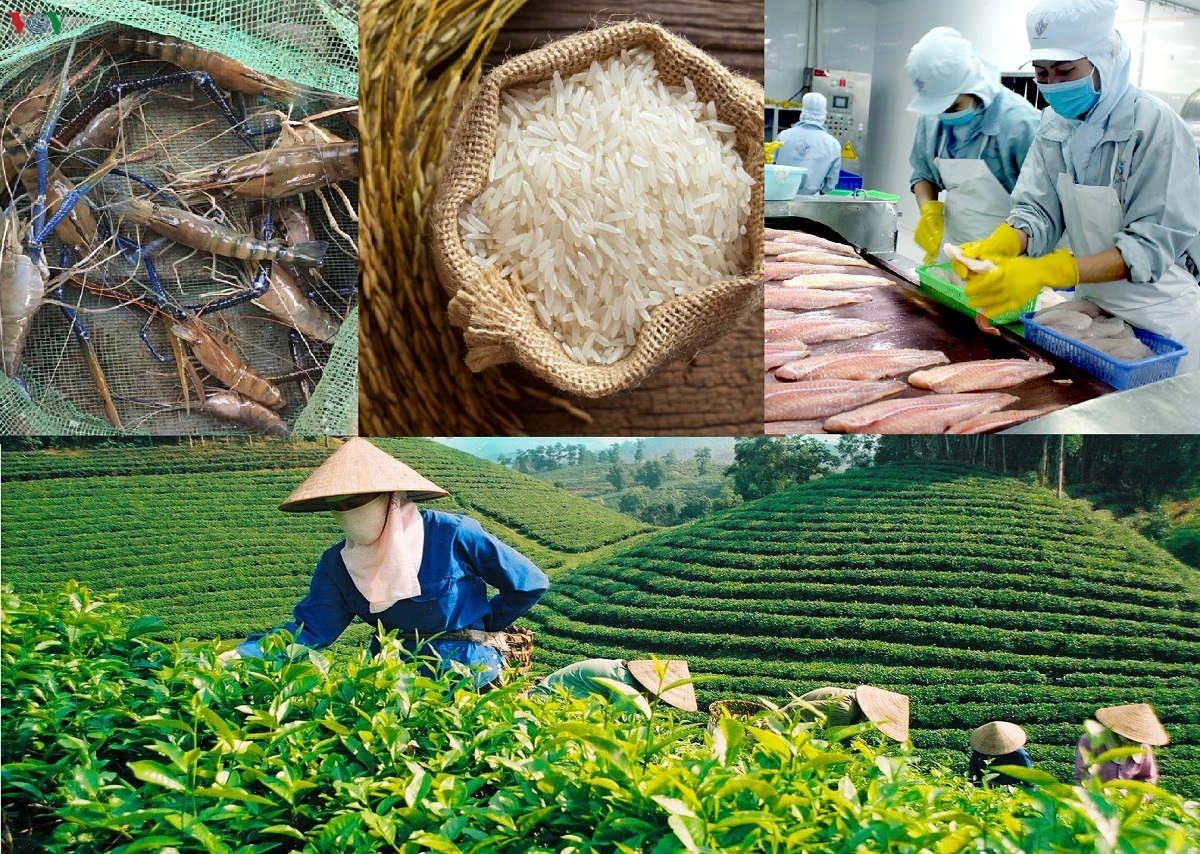 Vietnam enjoys two-fold growth in agricultural trade surplus